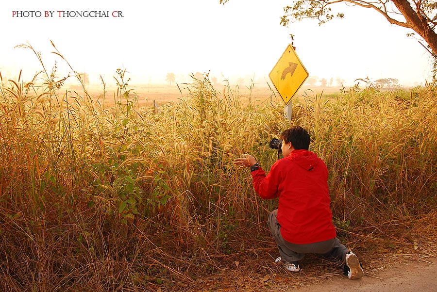น้าคนนี้ เขาบอกว่าไปถ่ายรูปอย่างเดียว อย่างเดียวจริงๆ :grin: :grin: :laughing: :laughing: