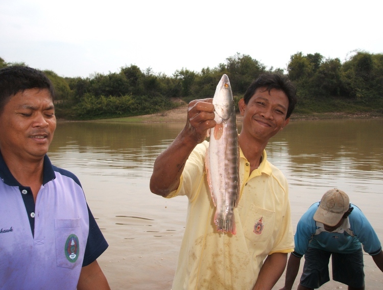 
ตัวนี้ไม่ต้องพูดถึง....รู้ ฯ กัน......รอบเดียว...ได้มา  8 ตัว ..โอ้ว......