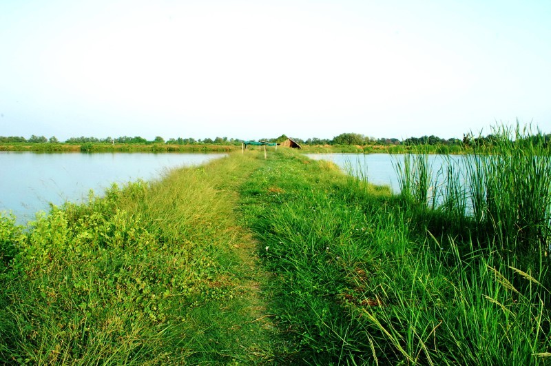 [q][i]อ้างถึง: svfishing posted: 12-12-2552, 15:28:36[/i]

 [q]หวัดดีค