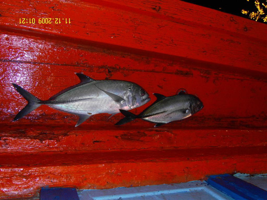 ของไต๋กองข้างเรืออีกสอง