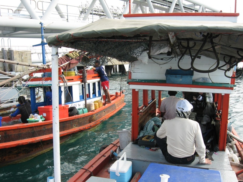 ดูกราบเรือซะก่อนแทบจะชนกัน  แล้วหย