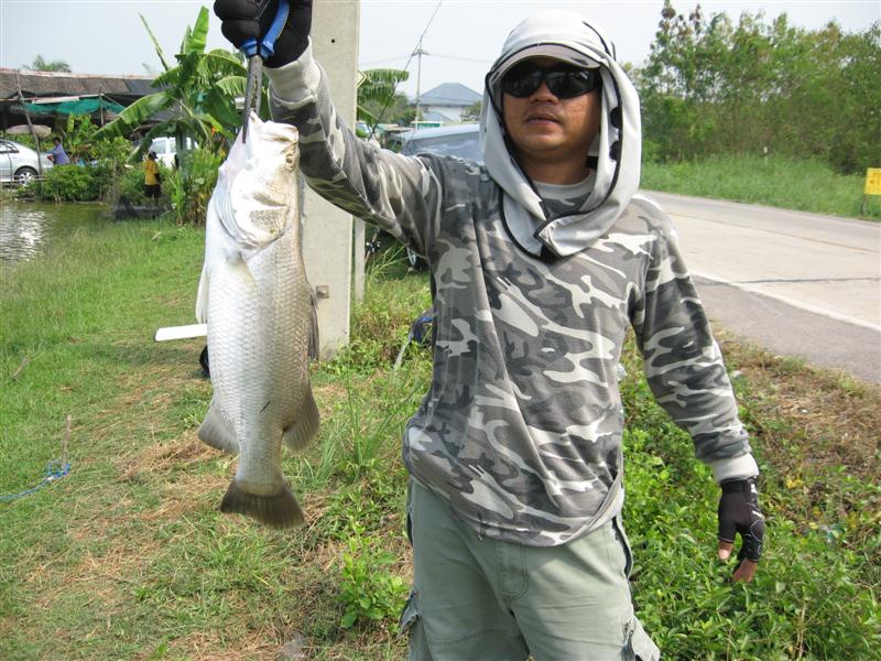 เอาเจ้าของตัวจริงดีฝ่า อิอิ  :cool: :cool: :cool: :cool: :cool: :cool: :cool:

...................