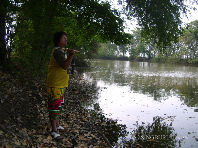 ข้างหลัง นั่นน้องโด้ เล่นกบยาง RIBBIT บอก เห็นน้องชะโด ขึ้นหน้าพุ่มไม้