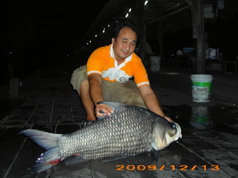 [q][i]อ้างถึง: noch posted: 14-12-2552, 19:10:36[/i]

 :laughing: :laughing: :laughing:
who am i?