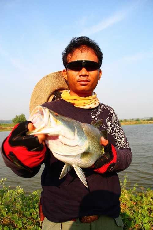 อีกสักทีกับกระพงตัวนี้ครับ ต้องขอบ