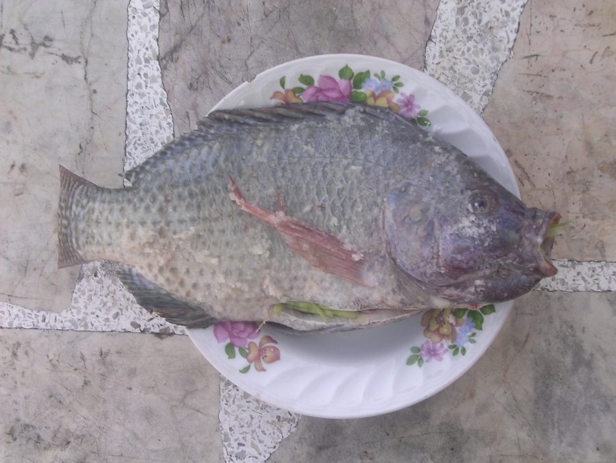 เตรียมพร้อมย่าง