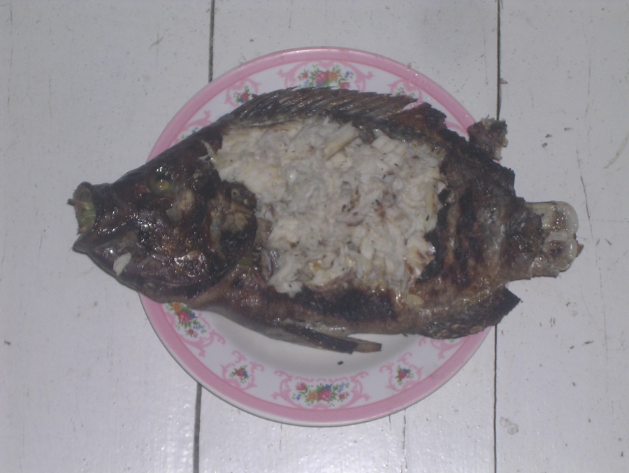 ย่างเสร็จสภาพก็เป็นอย่างที่เห็นค่