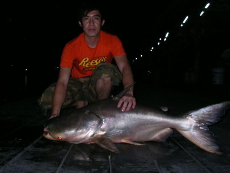 SHORT BODY โดน JIG 500 G.  :grin: :grin: :grin: :umh: :kiss: