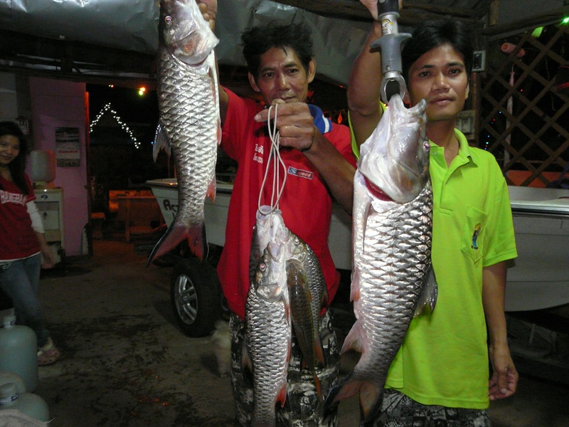 เอามาเป็นกับแกล้มให้ชั่งที่บ้าน.. :grin: :grin:
ลากันด้ายภาพนี้เลยนะครับ.....ขอบคุณน้าๆทุกคนที่เข้า