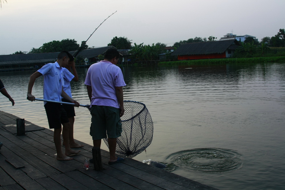 ขอส่งภาพ วันที่ไปบึงสำราญ(ก่อนลงเรือ วันนึง) ให้เพื่อนๆที่มาจาก เชียงใหม่ และคุณปริ้นที่มาจากฮ่องกง 