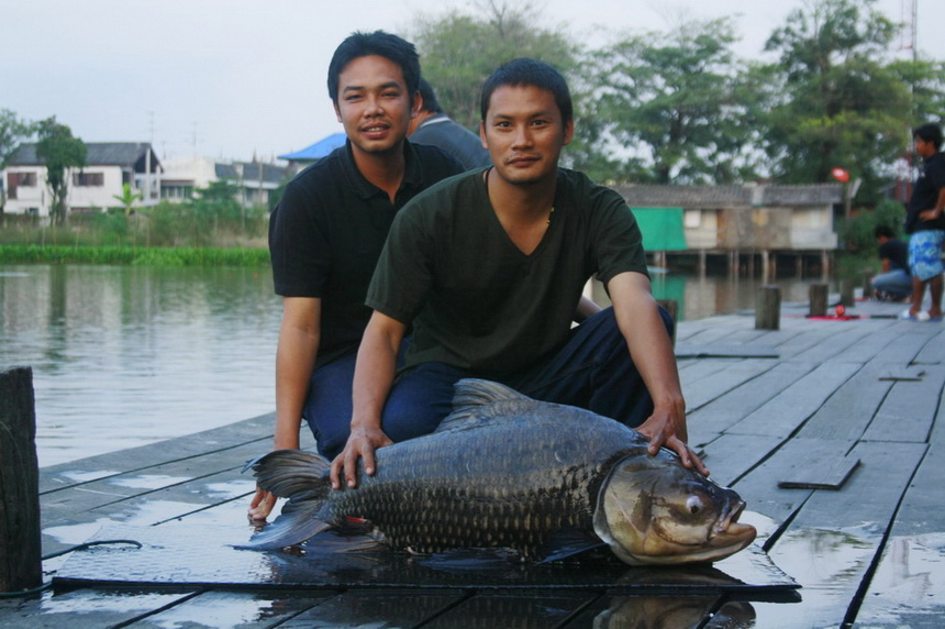 หนุ่มเหนือขอด้วยครับ เจ๋งกับจี๊ป

 :cheer: :cheer: :cheer: :cheer: