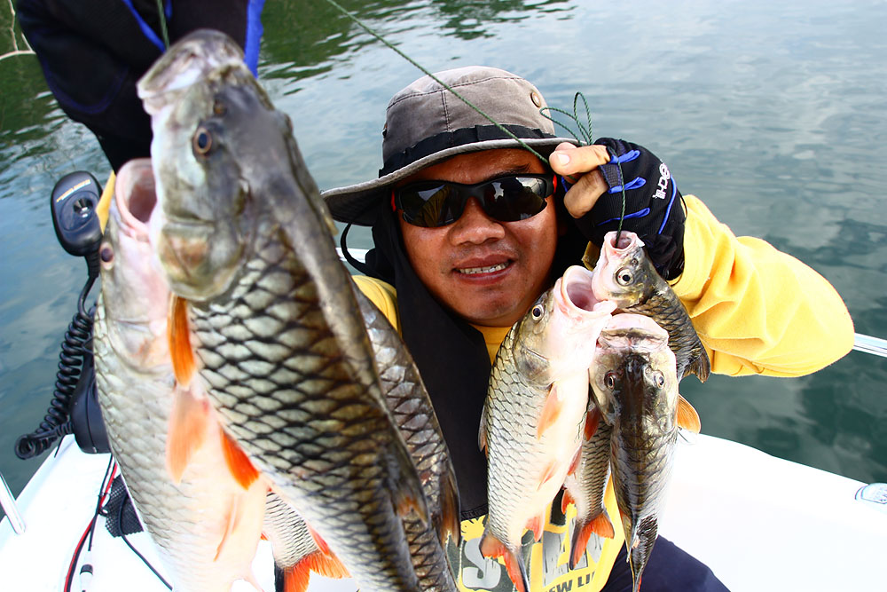 ทักทายน้าk.rongด้วยจ้า
 :love:
อ้าว..โช๊ะกันหน่อยซิ
 :cool:
