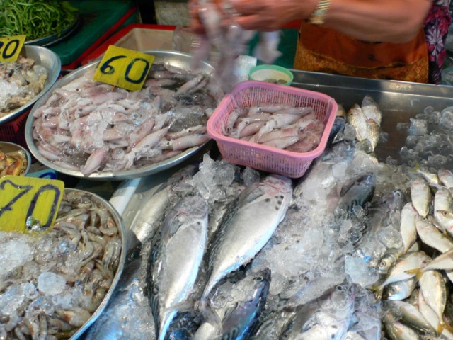 หมึกตายครับ ขายใม่ใด้ครับ  
