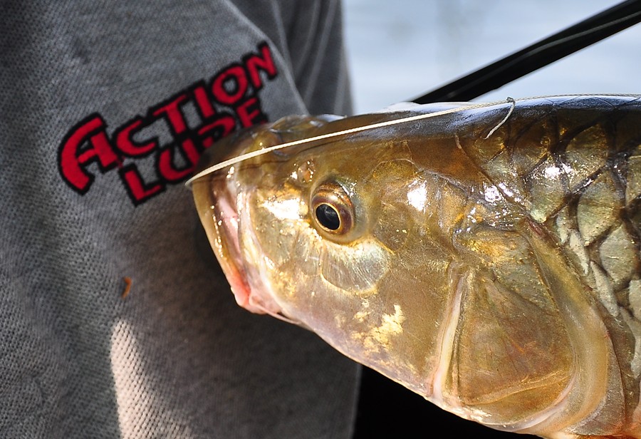 Action lure จ๋ากระสูบรักAction lureซะเหลือเกิน ขอ