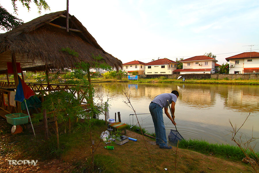 ที่นี่ถ้าเป็นช่วงบ่าย ต้องเดินมาหลังเรือนอาหารครับ รับรองว่าร่มเย็นตกสบายแน่นอน เพราะมีต้นไม้ใหญ่บัง