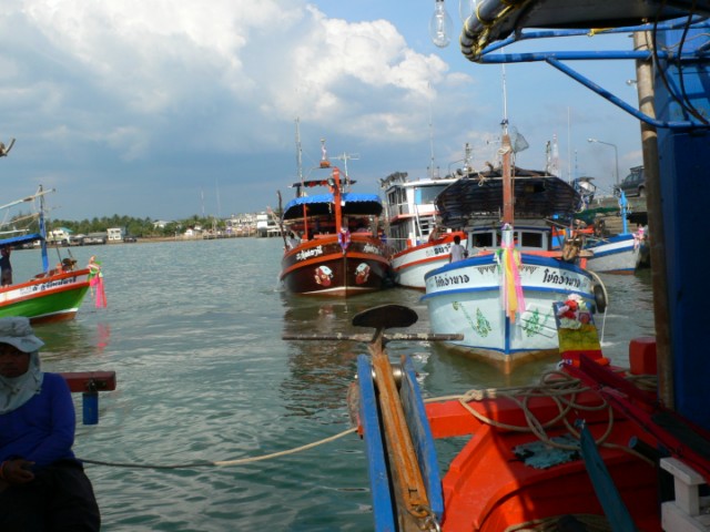 เรือจอดกันเเน่น ครับ  รีบไปชั่งปลากันใหญ่ 