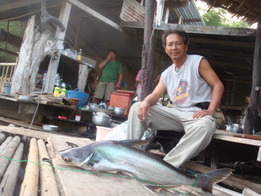สำหรับน้าๆที่โทรมา ผม(ไร่ส้ม)ไม่สามารถ
นำพาเข้าหมาย แพโชคได้  กรุณาติดต่อทางแพ
เบอร์ที่ใช้ติดต่อได