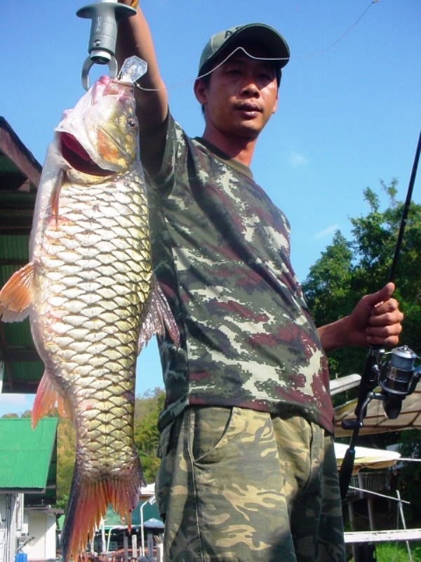@ # # เบื่อปลาเขื่อนศรีฯ มั๊ยครับ # # @