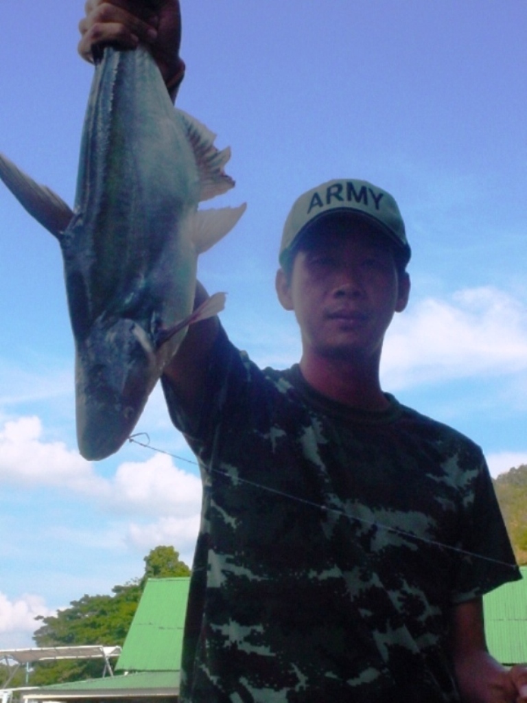 [q][i]อ้างถึง: nomsen posted: 20-12-2552, 18:20:34[/i]

เบื่อครับ.....       เบื่อตรงที่ไม่ได้ไปตก