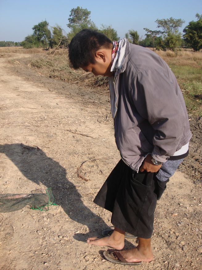 สงสัยปลาช่อนมันกินอาหารของนายนิวห