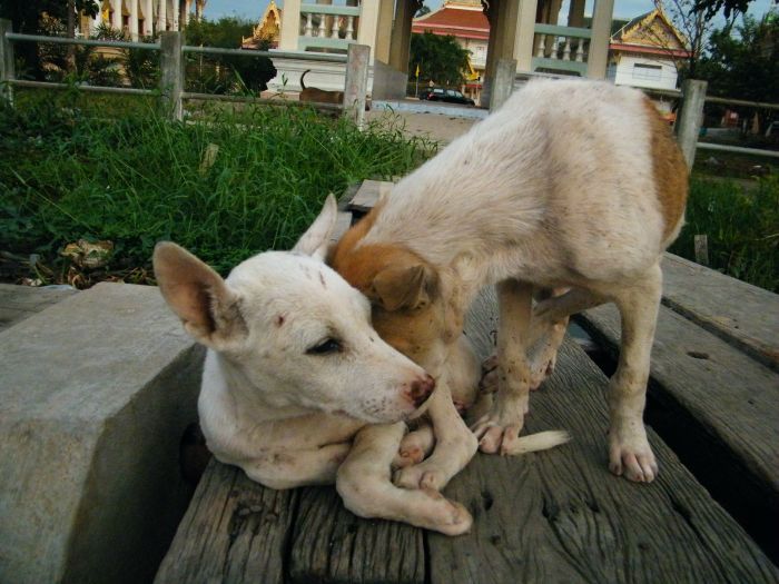 เจ้าหน้าที่ประจำท่าเรือ มาสำรวจความเรียบร้อย