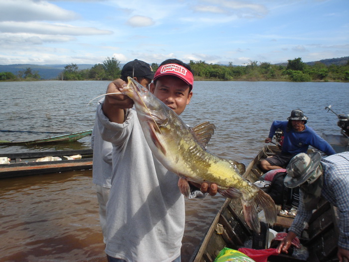 พอดีมีเรือชาวบ้านเข้ามาที่ท่า มาพร้อมกับเจ้าตัวนี้เลยครับ  :love: :love:

------------------------