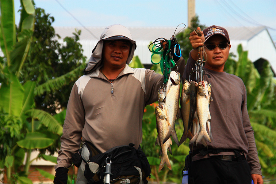 กุเราพวงใหญ่ ๆ  ได้หลายเมนูเลย
 :umh: :umh: :umh: