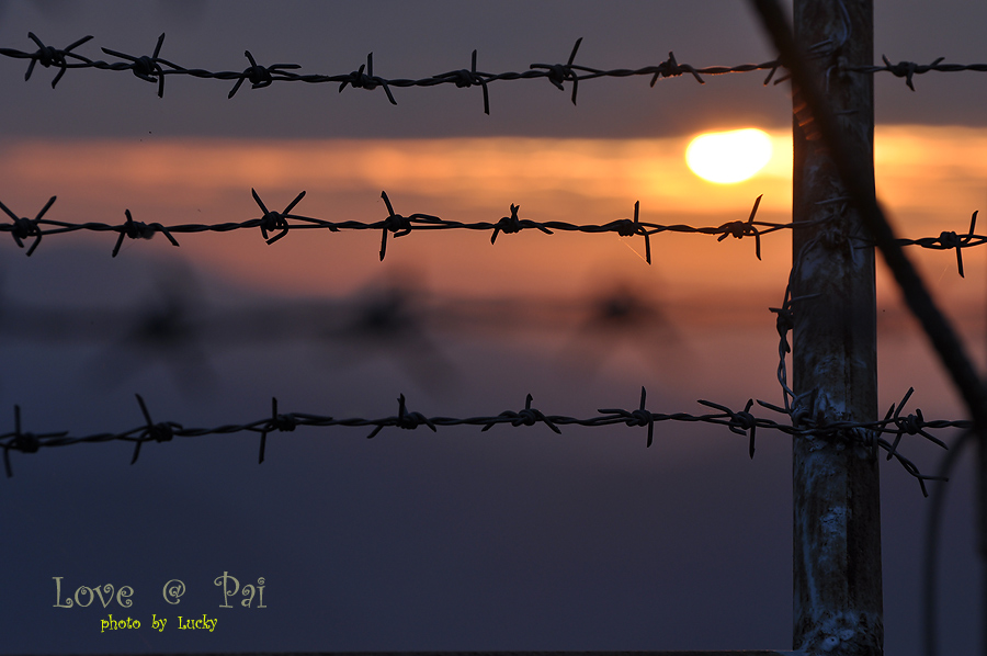 เหมือนน้าป๋อม บอกค่ะ D90ทำ ซีรูเอท ยากค่ะ :grin: :grin:
