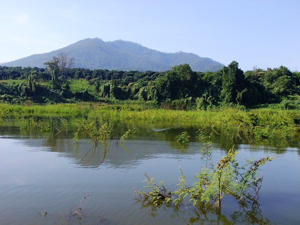 ก่อนไปกินข้าวเที่ยงที่แพน้องแอน ก็ขับเรือไปต้นน้ำ ไปหาชะโดกันครับ หมายสวยมากๆ สักเดือนสองเดือนที่แล้