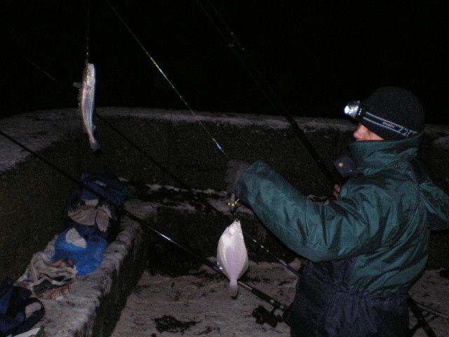 Steve ได้ทีละสอง (double hooked) ปลาตัวบนเป็นปลา Whiting อยู่ในตระกูลปลา Cod ตัวล่างเป็นปลา Sand Dab