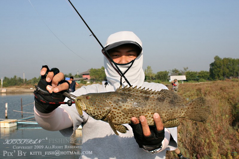 ป๋ากิตเราบอกขอม่างดิ   :grin:   :grin: 

[q][i]อ้างถึง: สุขสำราญ posted: 25-12-2552, 10:14:10[/i]
