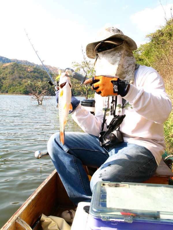 [q][i]อ้างถึง: ต่าย_actionlure posted: 25-12-2552, 10:47:03[/i]

ตามชมจร้าน้าเอ ..................