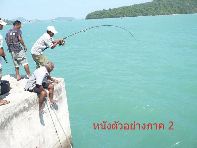 หวัดดีครับน้า  พรานมัฉฉา
หวัดดีครับน้า  gio
หวัดดีครับน้า  samapod 
หวัดดีครับน้า  9669 
หวัดดีค