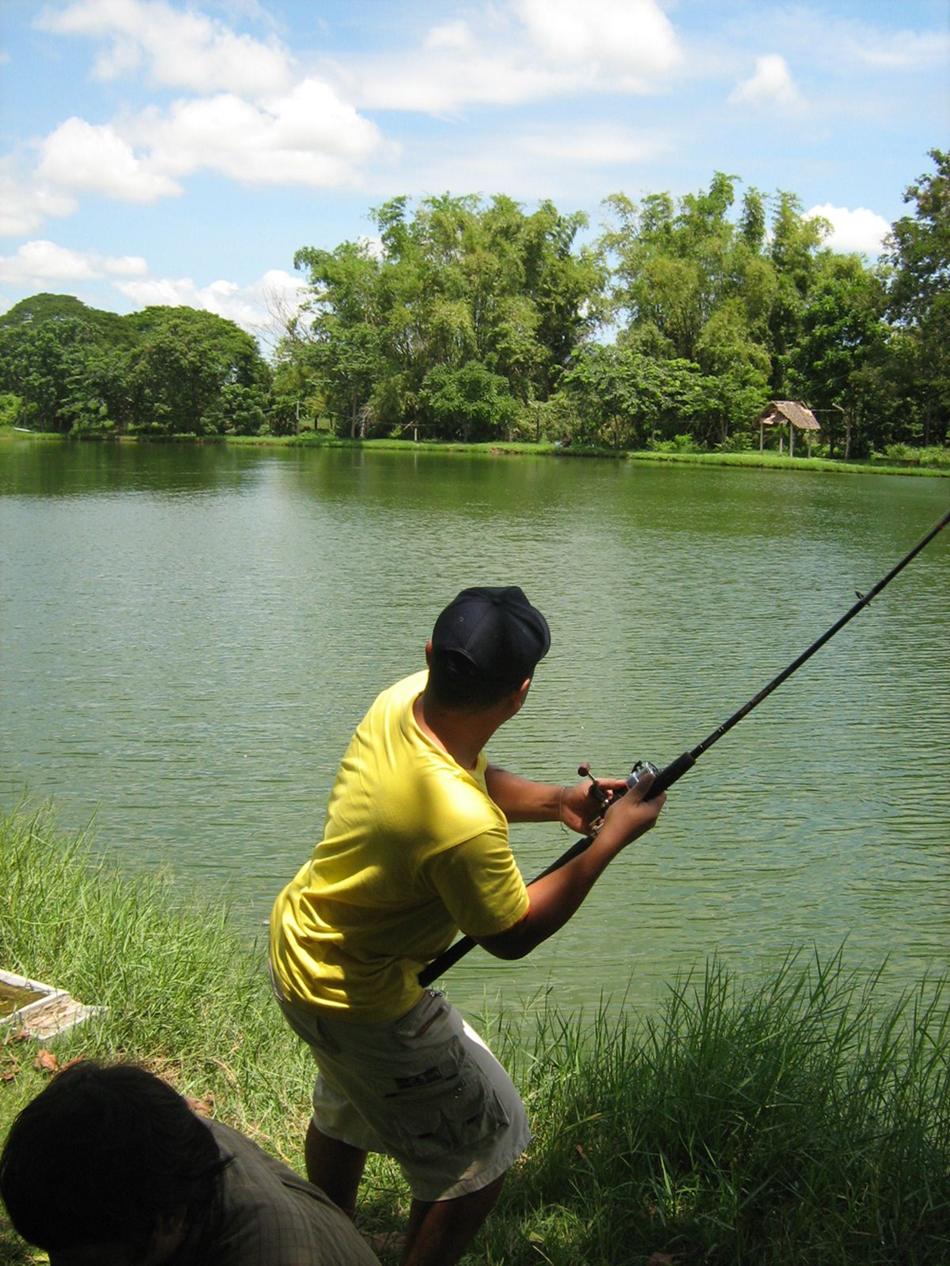 นี่ของผมครับ
ชุดตีเหยื่อ
RYOBI ZAUBER  No.3000
OKUMA Guide Select IM8 6.6 ฟุต
ลงบ่อ 
Loomis Pow