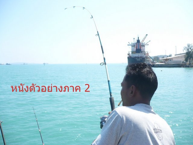 หวัดดีครับน้า เพื่อนธรรมชาติ ขอบคุณครับ :umh: :cheer:
หวัดดีครับน้า Araiwat   :umh: :cheer:
หวัดดี