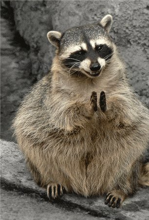 +1 :cheer: :love: :umh: :umh: :love: :cheer: