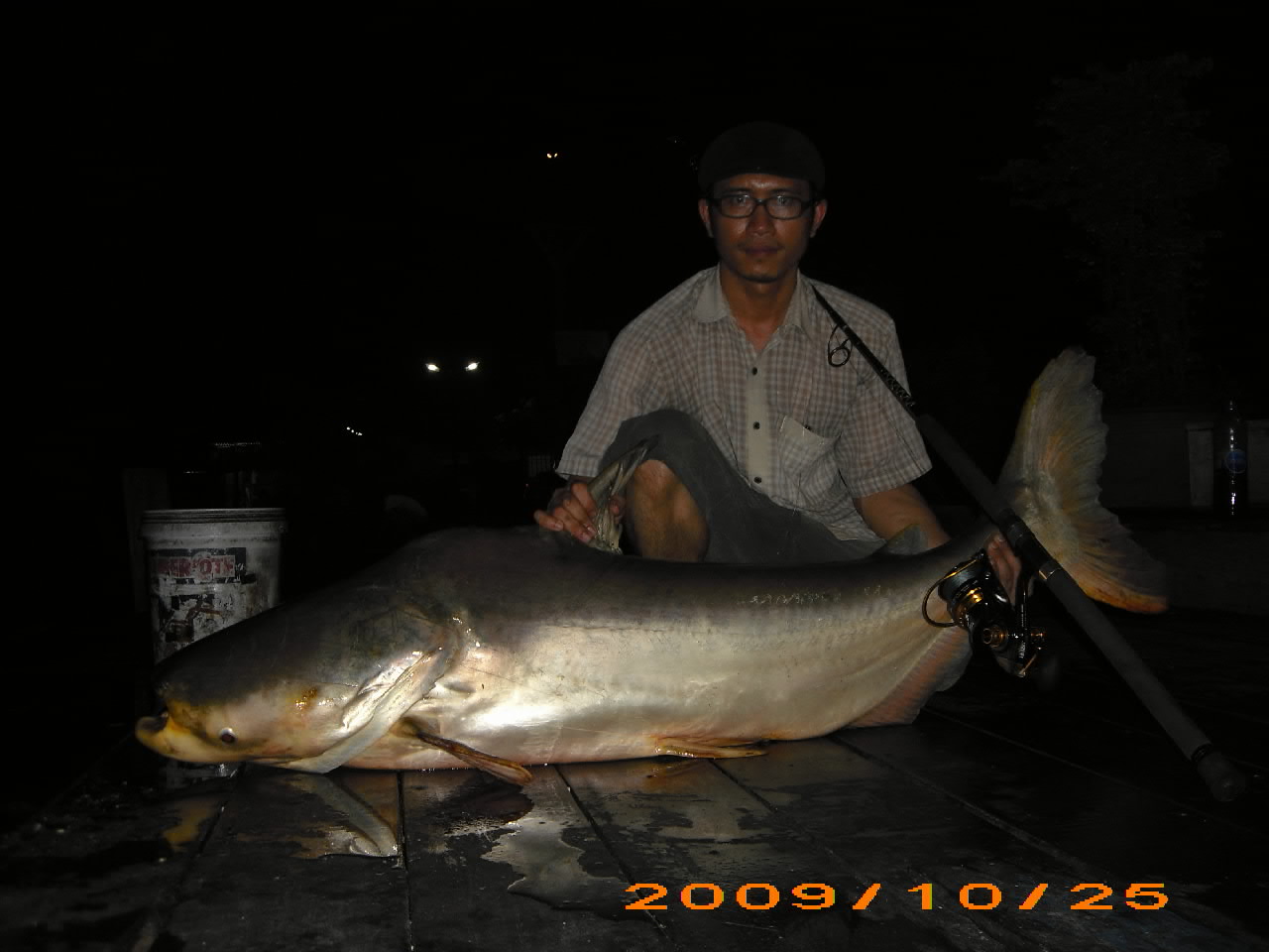 [q][i]อ้างถึง: xxl posted: 29-12-2552, 08:50:43[/i]

น้ายอดตัวนั้นขาประจำน้านัฐ แอบไปตบเด็กน้านัฐส
