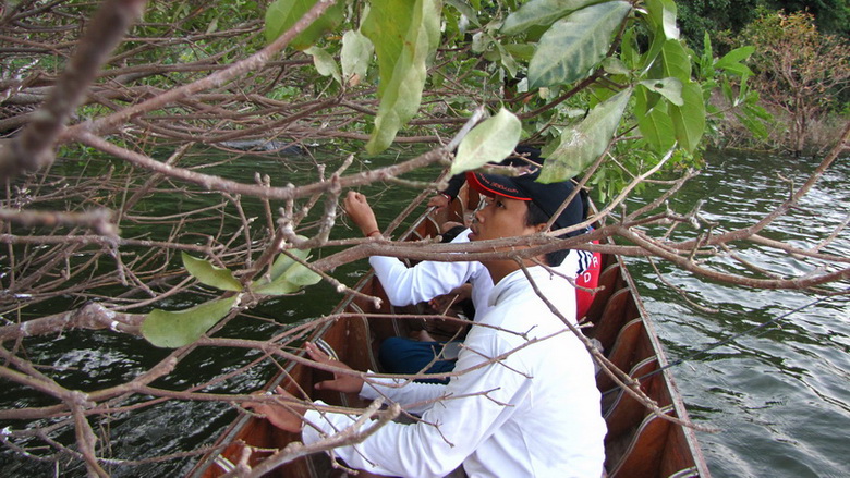 
     ผมนึกวิธีแก้ไขได้แล้ว.....................เราก็ลอยเรือห่างฝั่งมากๆ จะได้ตีไปไม่ถึงต้นไม้...หม