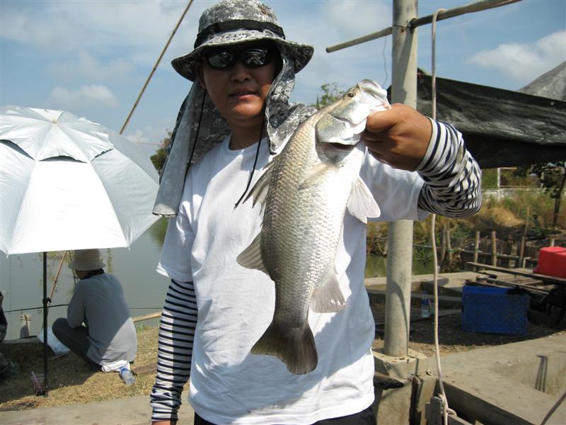 หล่อกันไป อิอิ  :cool: :cool: :cool: :cool: :cool: :cool: :cool:
