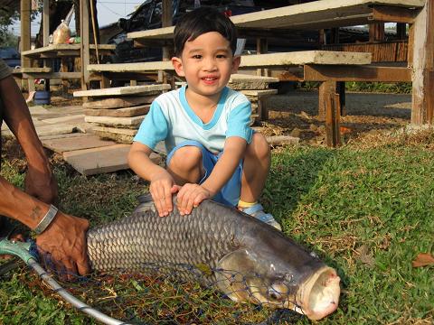 น้องลีโอ ลูกชายตัวแสบของคุณเอ ขาประจำ เย่อปลากะโห้ ขึ้นมาเองซะด้วย ใครจับคันก็ไม่ยอม โตอีกหน่อย   มั