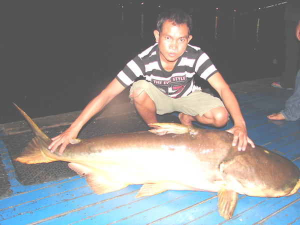 บุญเกิดกับน้องเยลหลี...