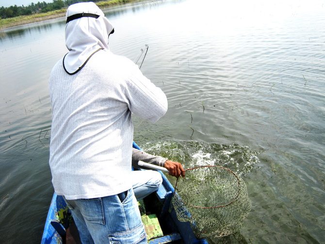 แรงดีไม่ใช่เล่นเลย.......มีมุดเรือด้วย :smile: :smile: :cheer: