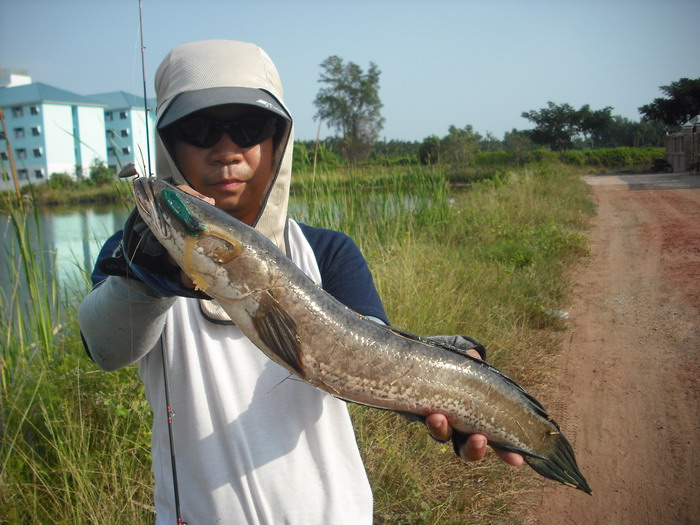 ภาพอาจารย์หนูก็มี ...................  :cheer: :cheer: :cheer: