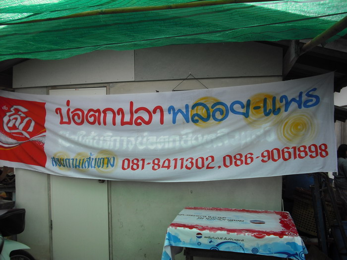 หมดแล้วครับกล้องผม .................. ทริพมัน ๆ กับปลาช่อนผิวน้ำ  :cheer: :cheer: :cheer:
---------