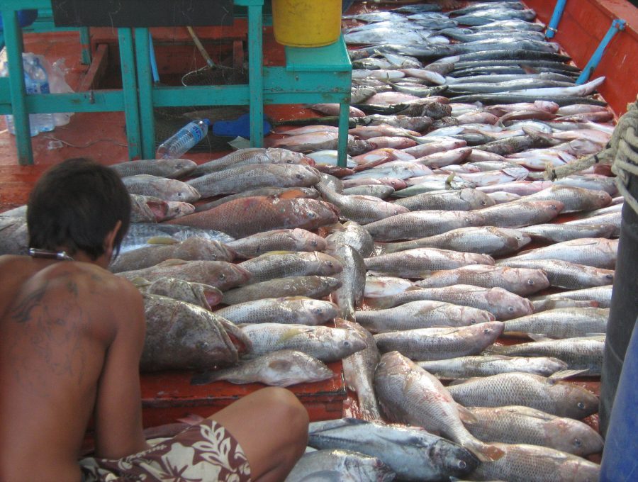 สำรวจหมาย 100 ไมล์ กับ เรืออำนาจเจริญ