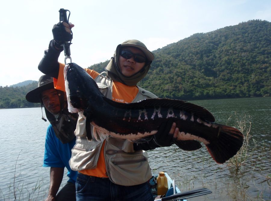 ขอถ่ายคู่กับไต๋เรือบ้างครับ  :cheer: :cheer: :cheer: :cheer: :cheer: :cheer: