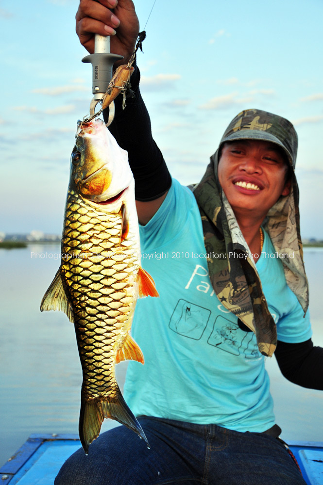  [b]เรียบร้อยครับ    ดูซิ  ยิ้มซะไม่หุบเลย
ปลากระสูบไชค์สวยประมาณ 1.6 Kg
คัน บิ้ว 6.6  10 - 20
รอ