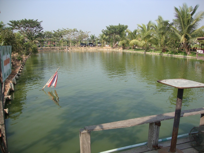 พอดีน้าเต่าถามหาบ่อเอ็นดี  เยยไปเทสในวันรุ่งขึ้น

ตามสัญญาครับน้าเต่า บรรยากาศตอนนี้สวยขึ้นเยอะครั