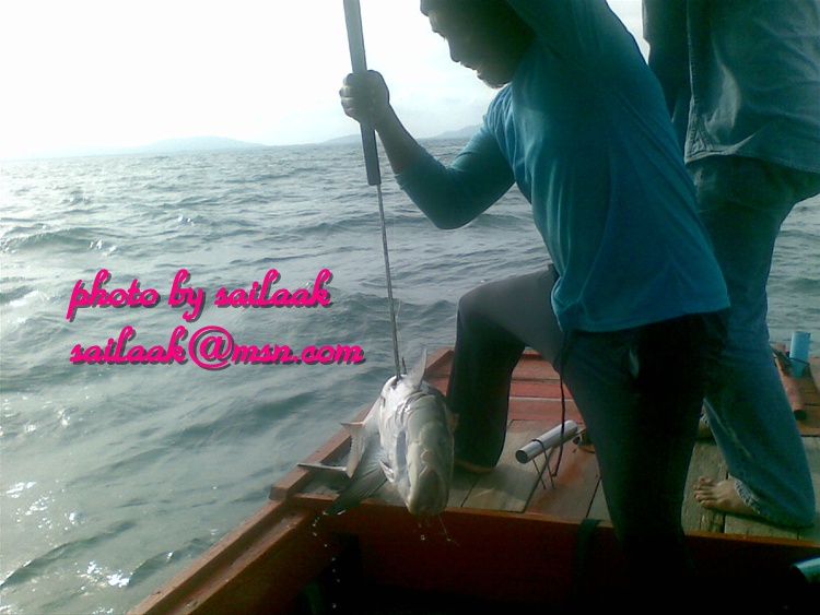 .... ไต๋ลี เกี่ยวขึ้นมาแล้วครับ ...  
 :cheer: