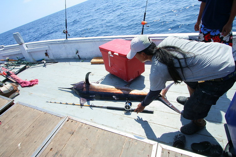 น้าโหน่งวางคันเทียบความยาว  คัน loomis 6 ฟุต 2 รอกไดว่า sealine 400H เอ็น ไทรลีน 50 lb สลิง 80lb

